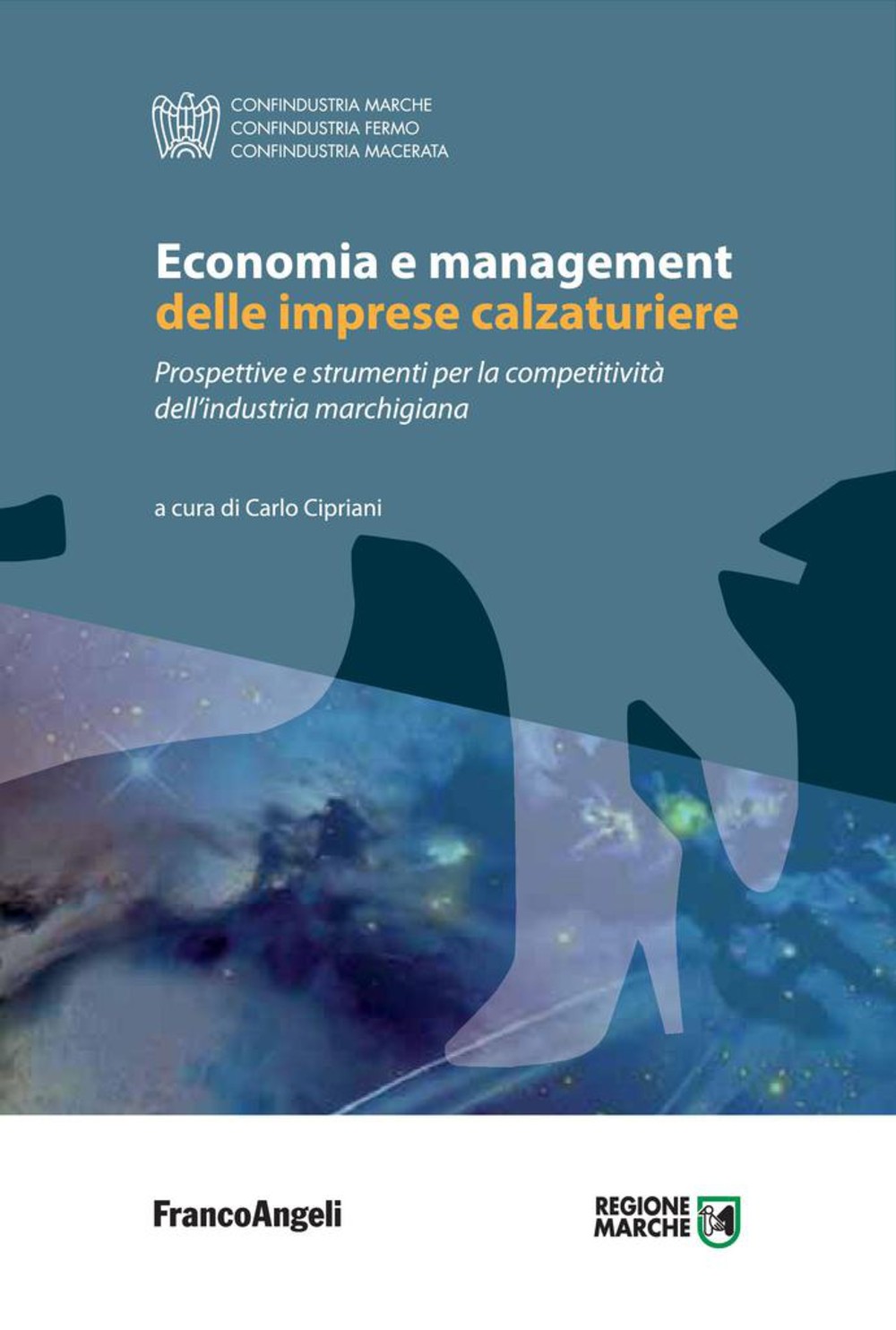 Economia e management delle imprese calzaturiere. Prospettive e strumenti per la competitività dell'industria marchigiana - Librerie.coop