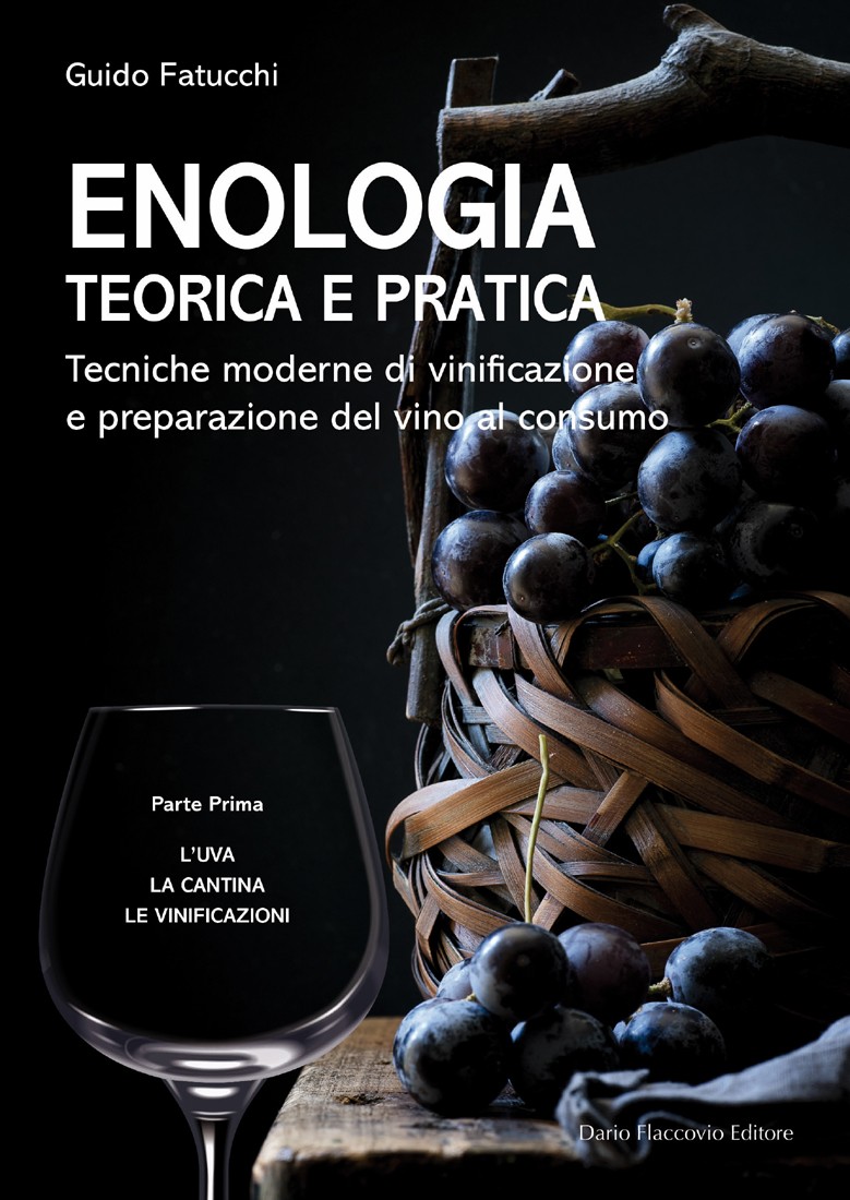Enologia teorica e pratica - Volume I - Librerie.coop