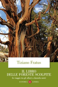 Il libro delle foreste scolpite - Librerie.coop