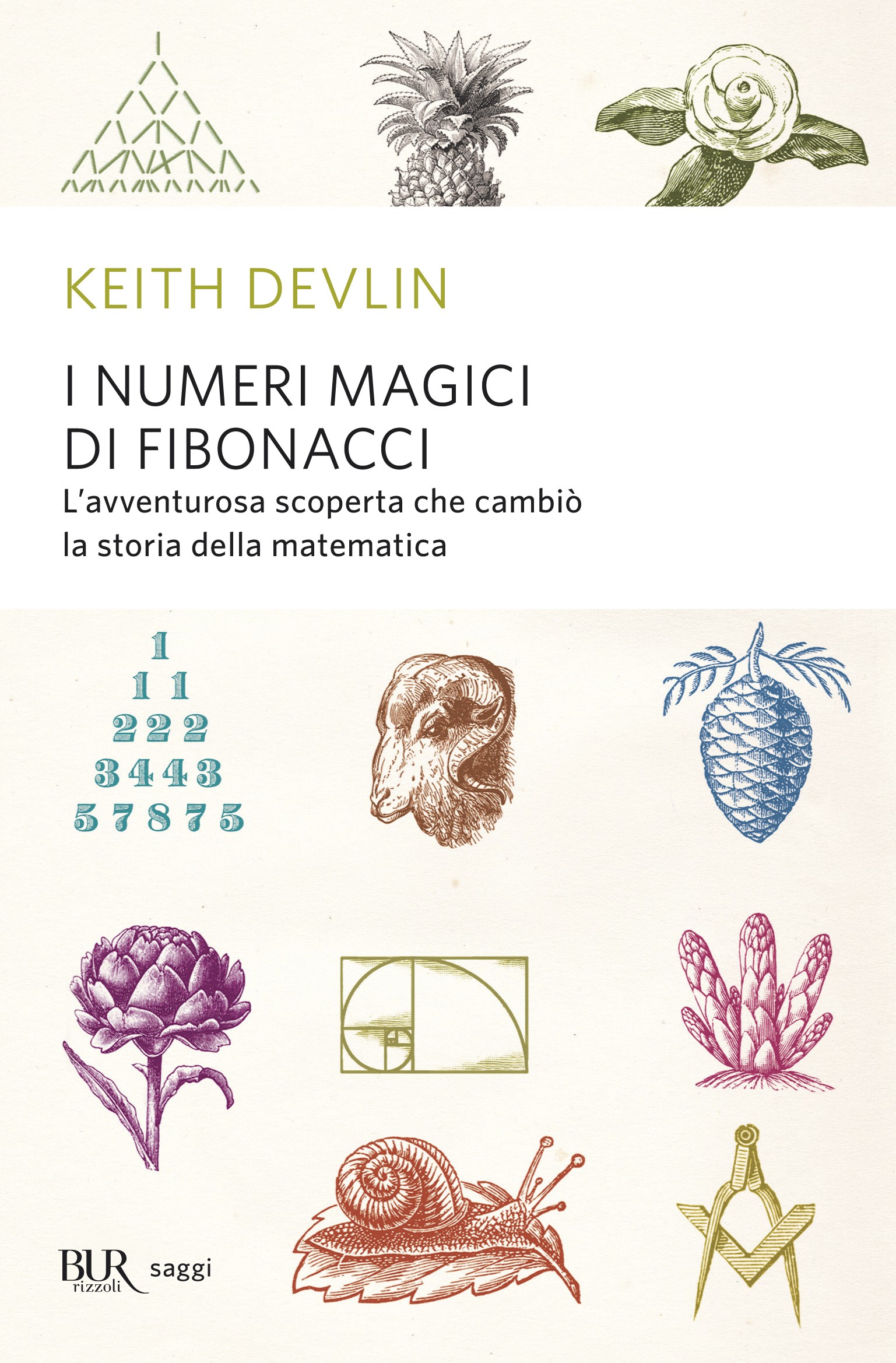 I numeri magici di Fibonacci - Librerie.coop