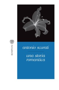 Una storia romantica - Librerie.coop