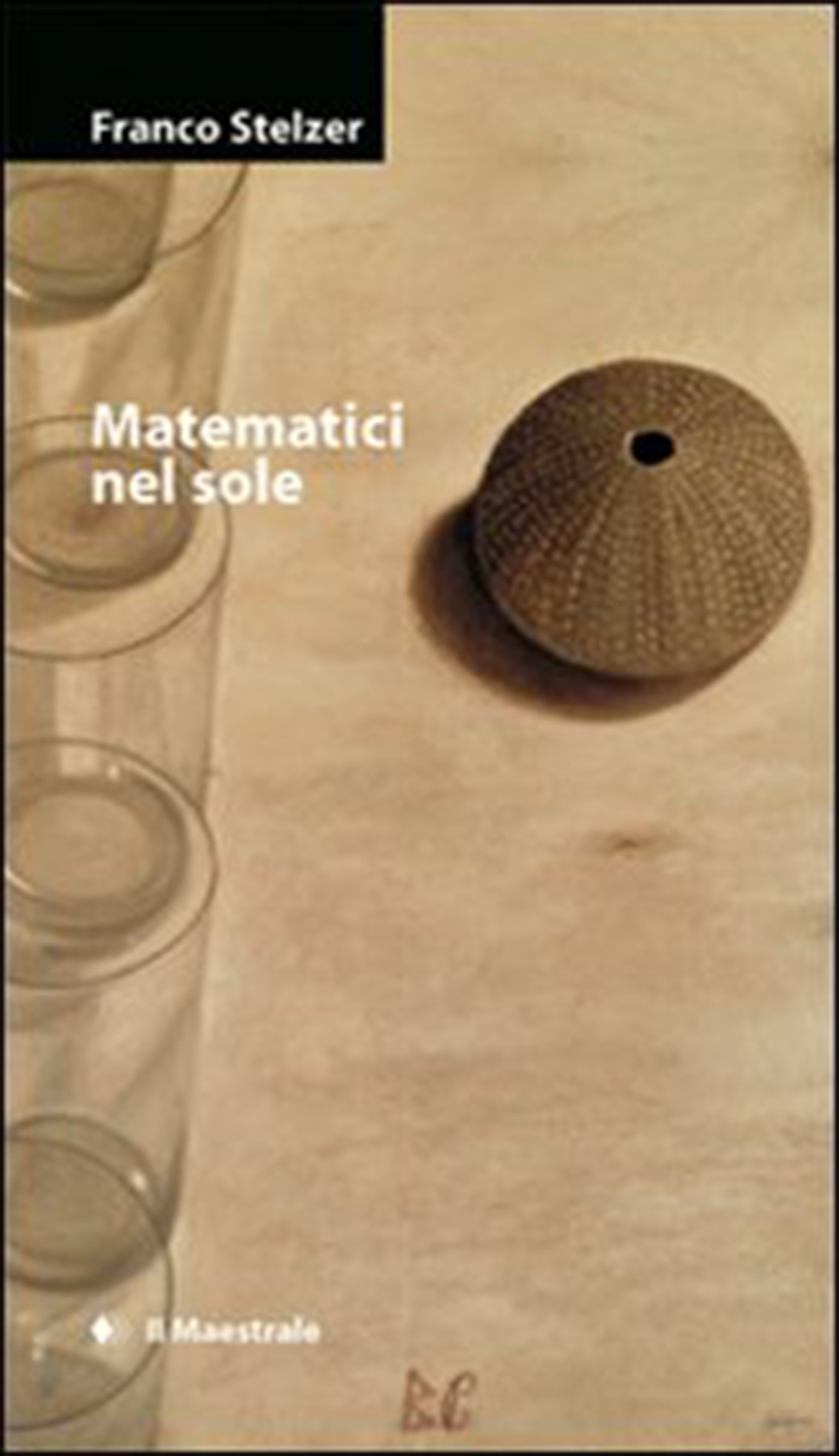 Matematici nel sole - Librerie.coop