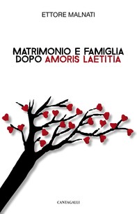 Matrimonio e famiglia dopo Amoris laetitia - Librerie.coop