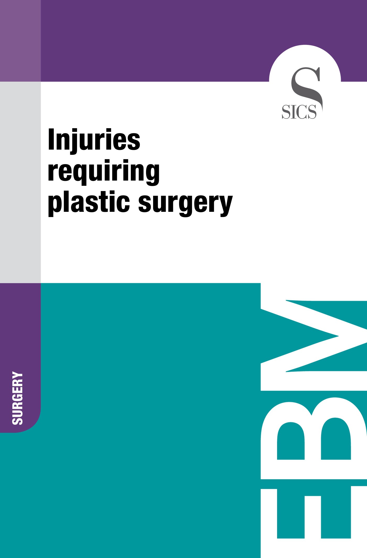 Injuries Requiring Plastic Surgery - Librerie.coop