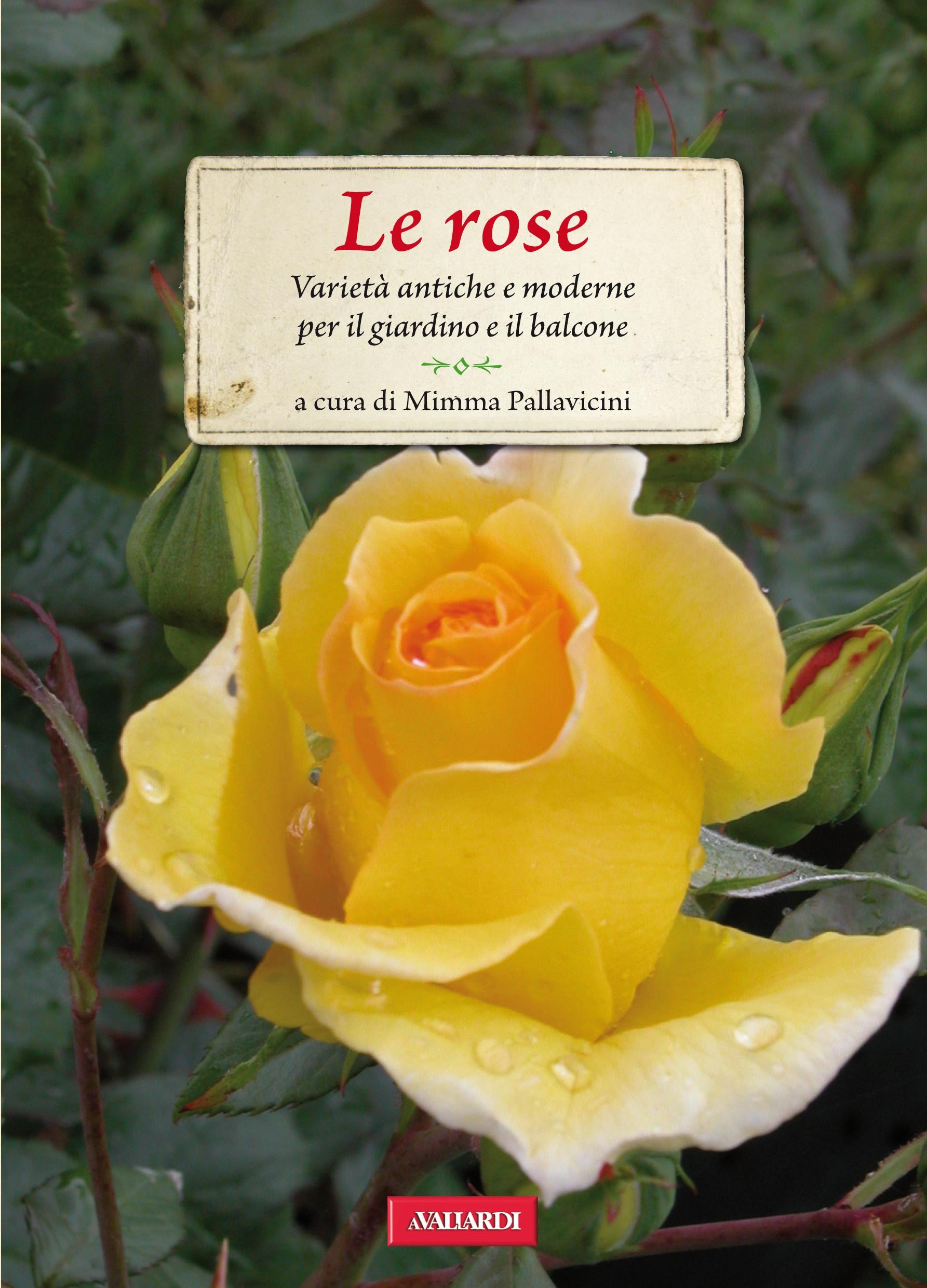 Le rose - Librerie.coop