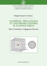 Numerical simulations of deformable systems in flowing media - Librerie.coop