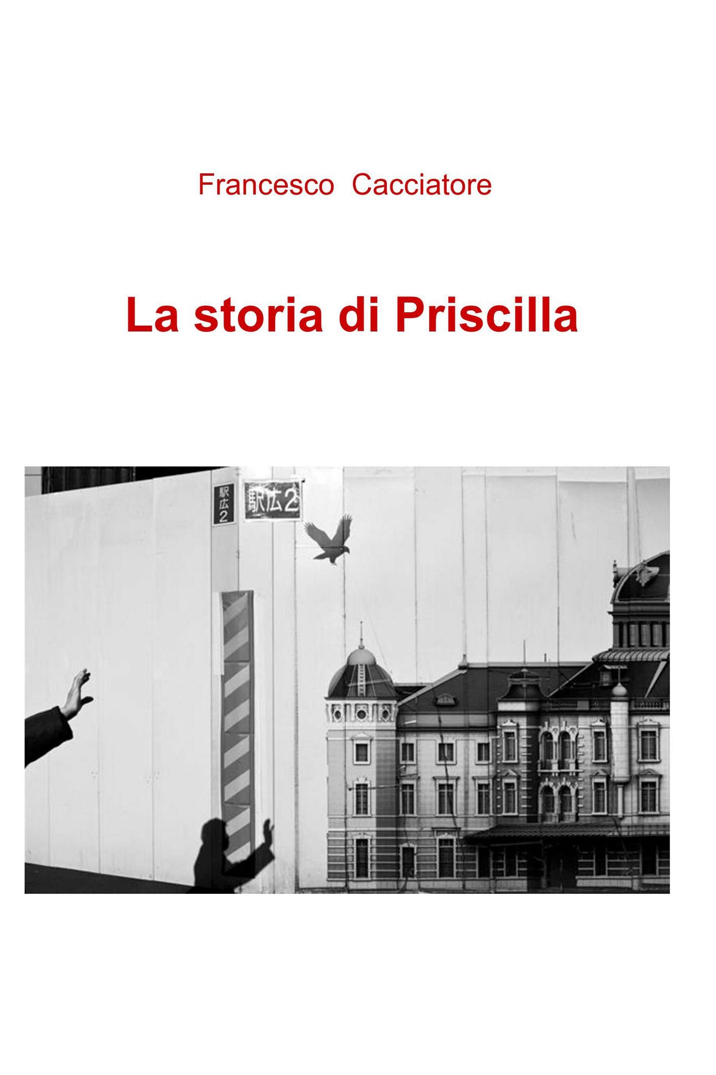 La storia di Priscilla - Librerie.coop