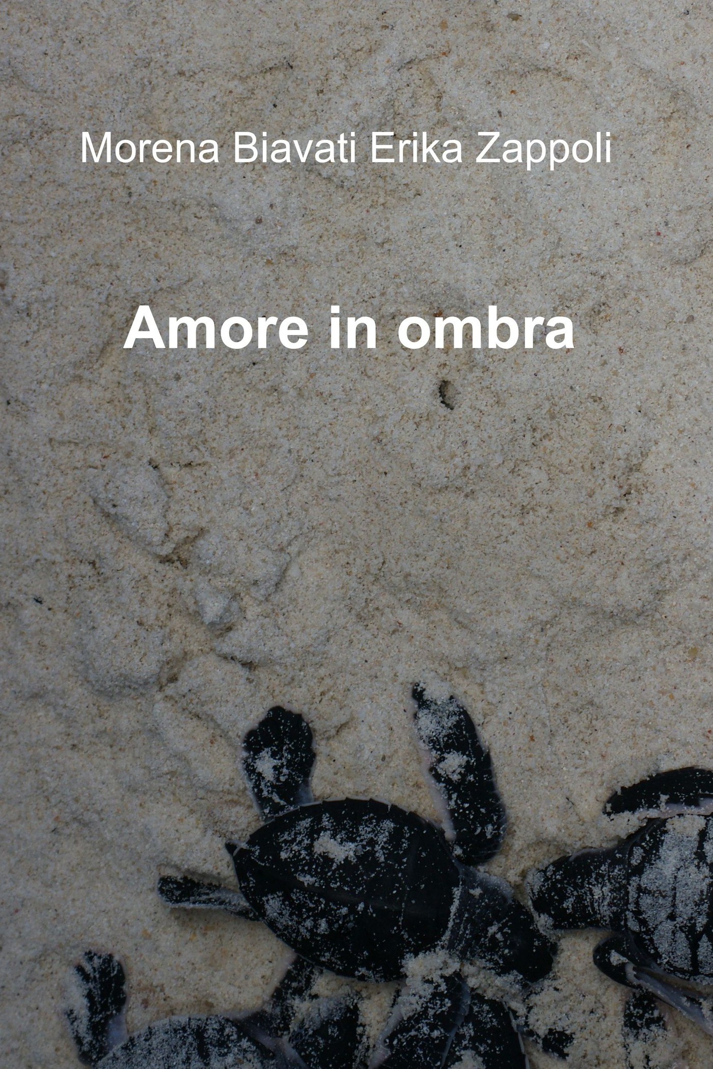 Amore in ombra - Librerie.coop