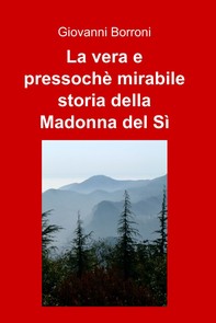 La vera e pressochè mirabile storia della Madonna del Sì - Librerie.coop