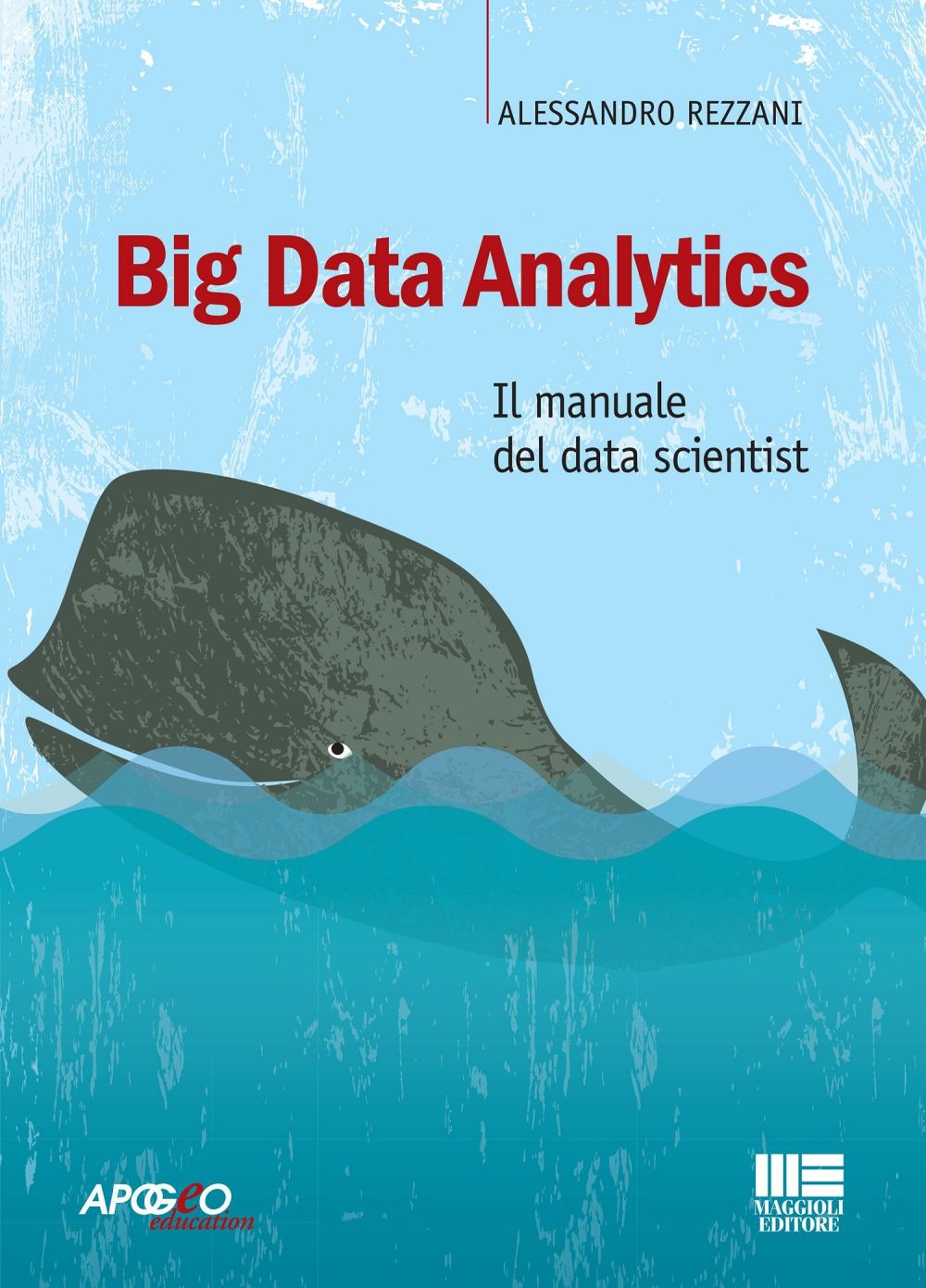 Big Data Analytics - Librerie.coop