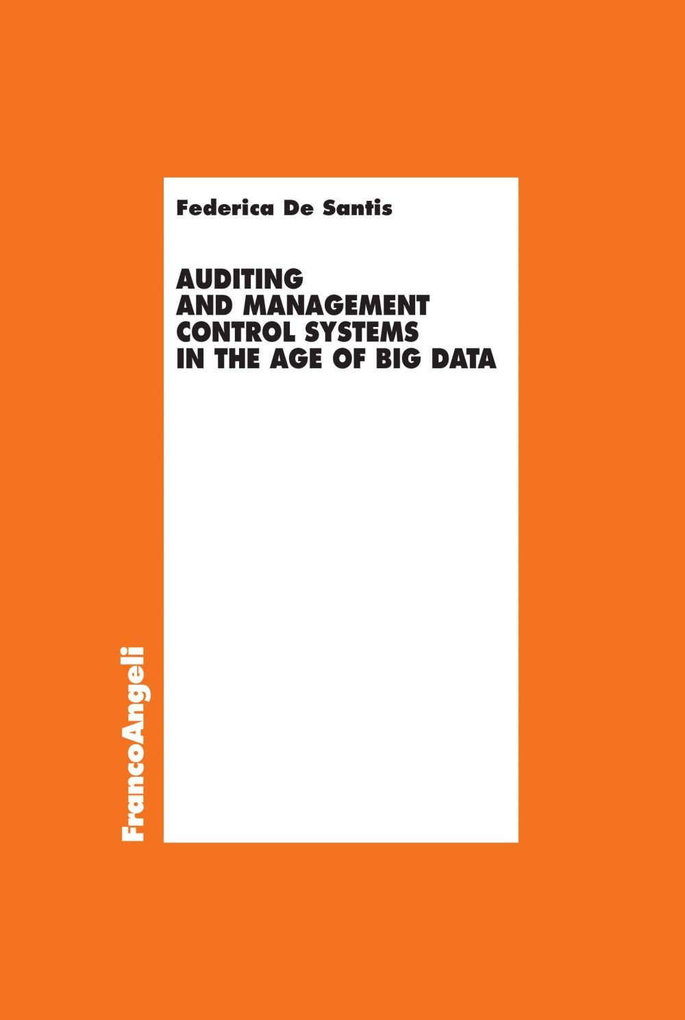 Auditing and management control systems in the age of big data - Librerie.coop