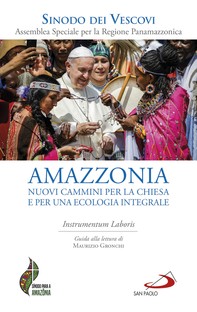 Amazzonia: nuovi cammini per la chiesa e per una ecologia integrale - Librerie.coop