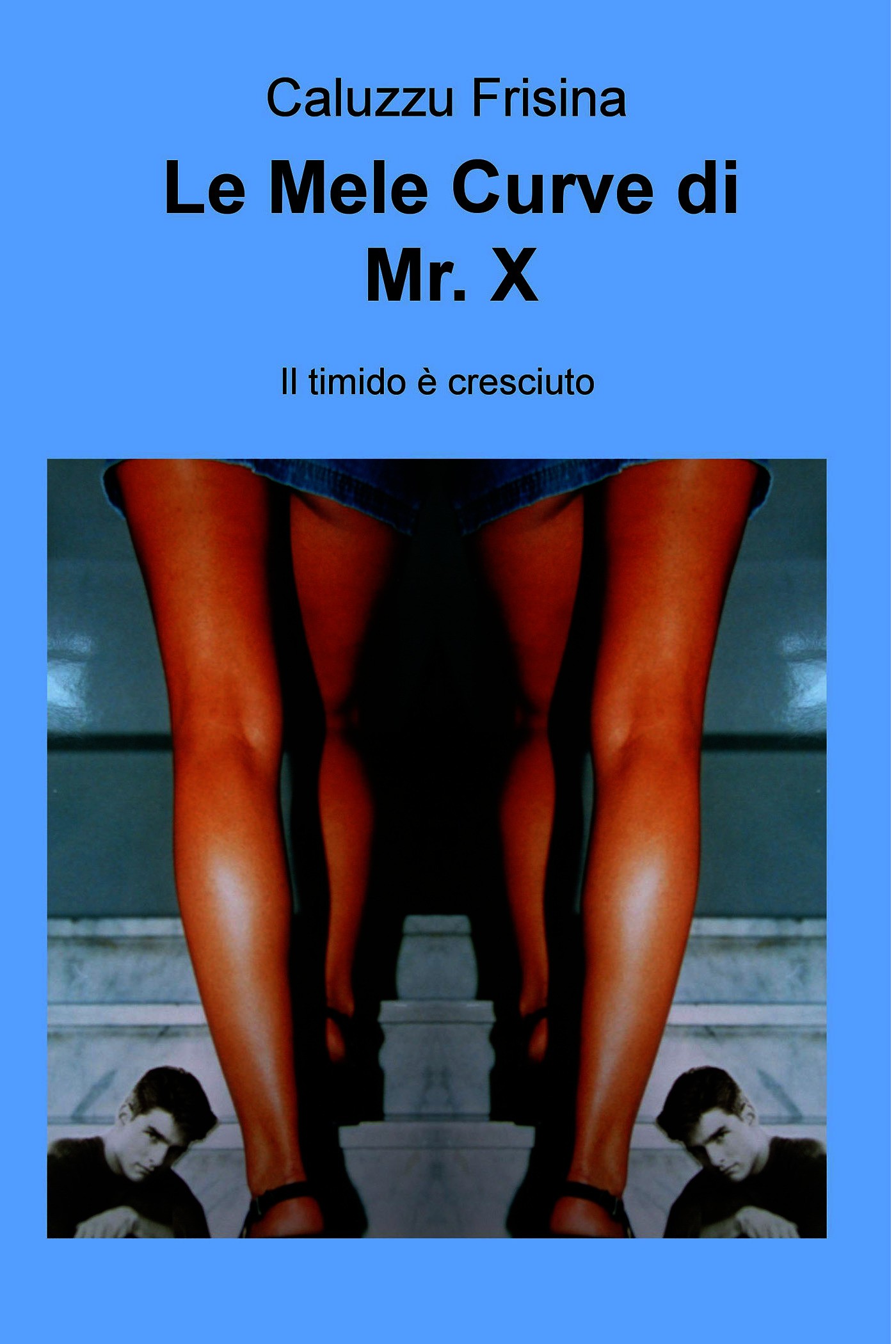 Le Mele Curve di Mr. X - Librerie.coop