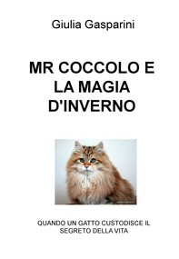 MR COCCOLO E LA MAGIA D&#39;INVERNO - Librerie.coop