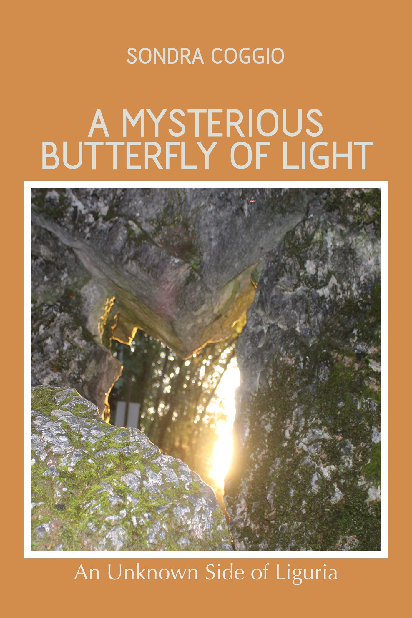 A mysterious butterfly of light - Librerie.coop