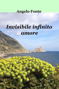 Invisibile infinito amore - Librerie.coop