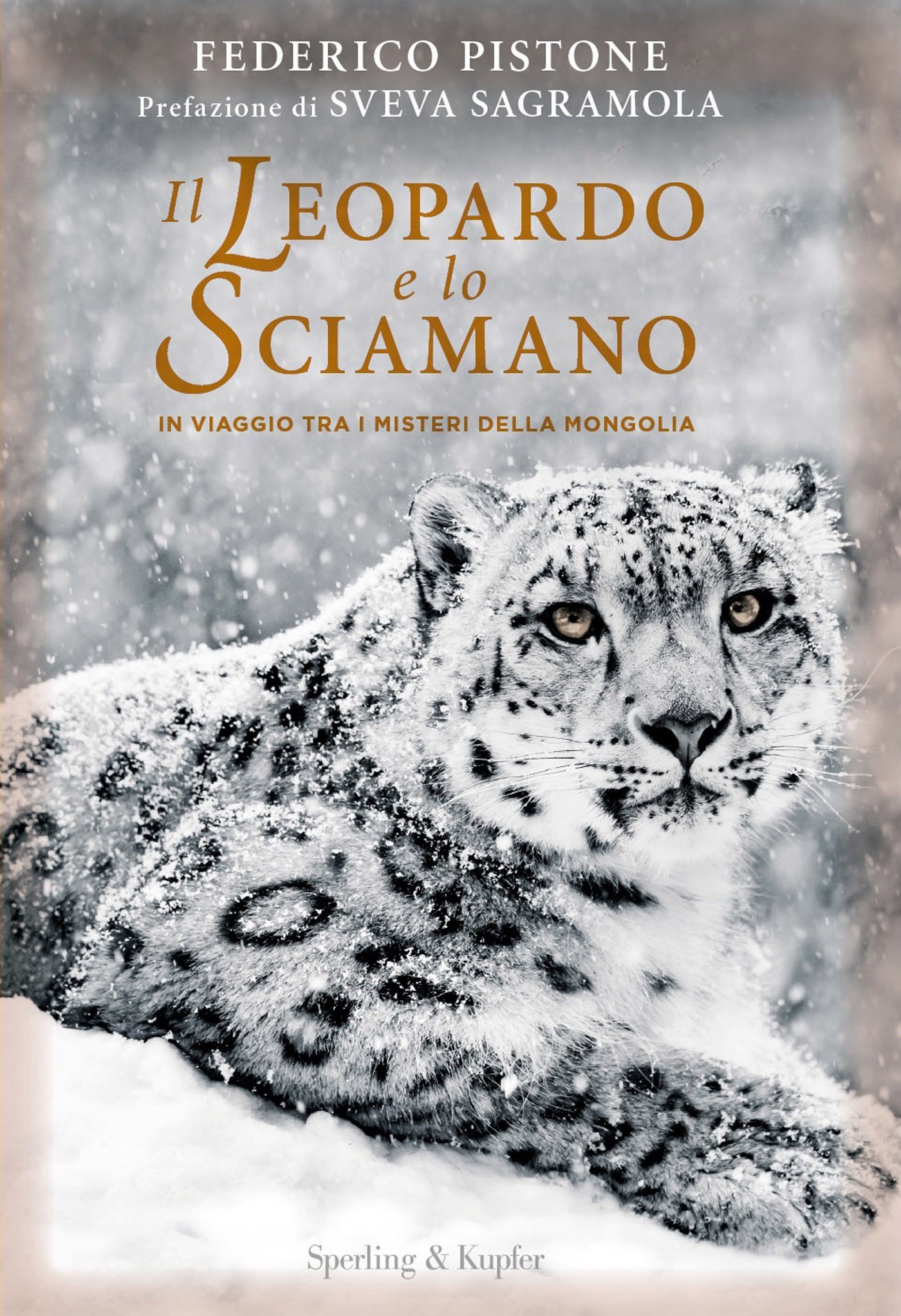 Il leopardo e lo sciamano - Librerie.coop