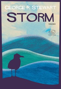 Storm - Librerie.coop