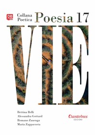 Collana Poetica Vie vol.17 - Librerie.coop
