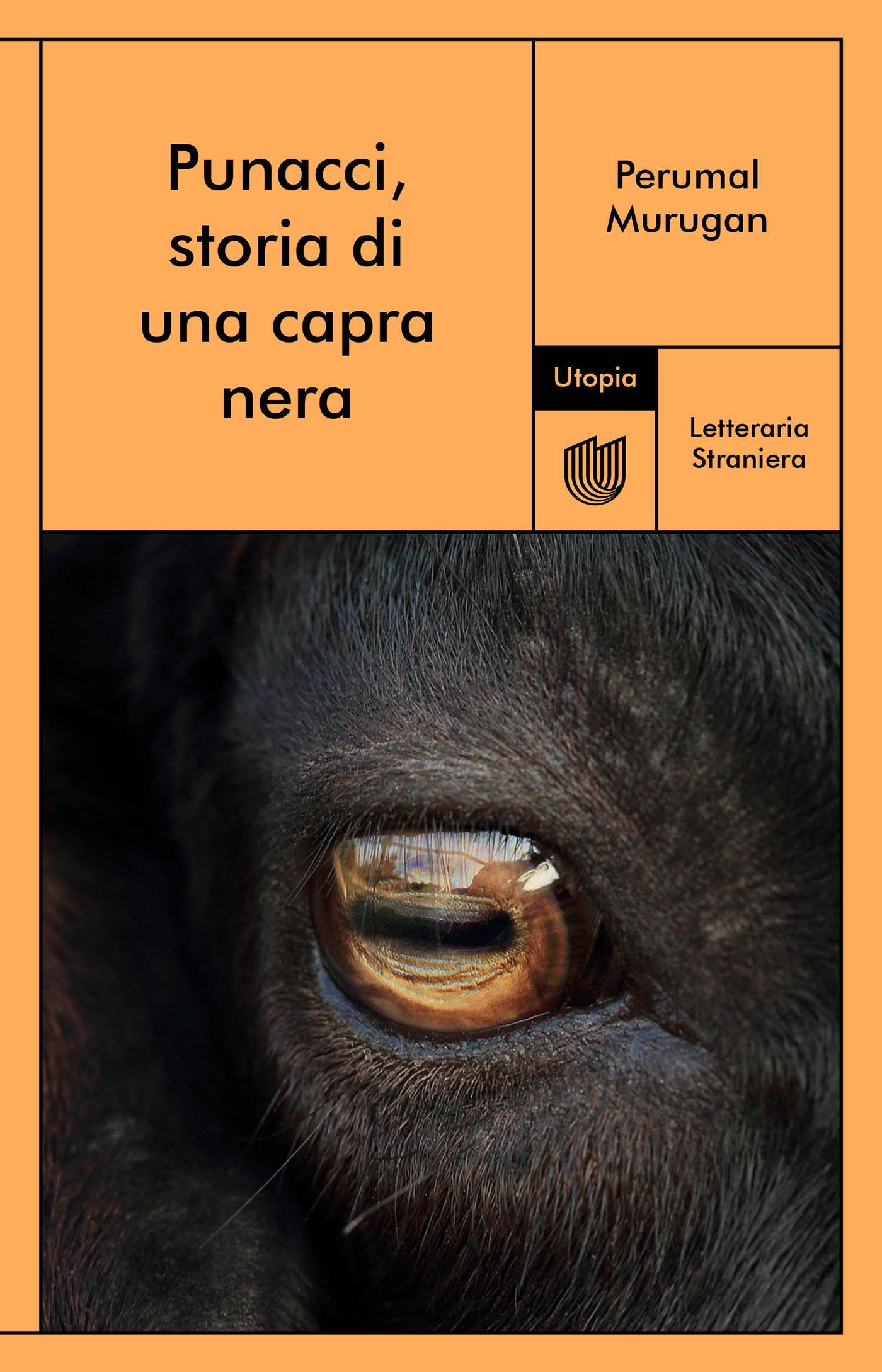 Punacci, storia di una capra nera - Librerie.coop
